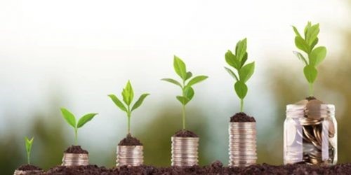 Growing plants on coins representing investment growth